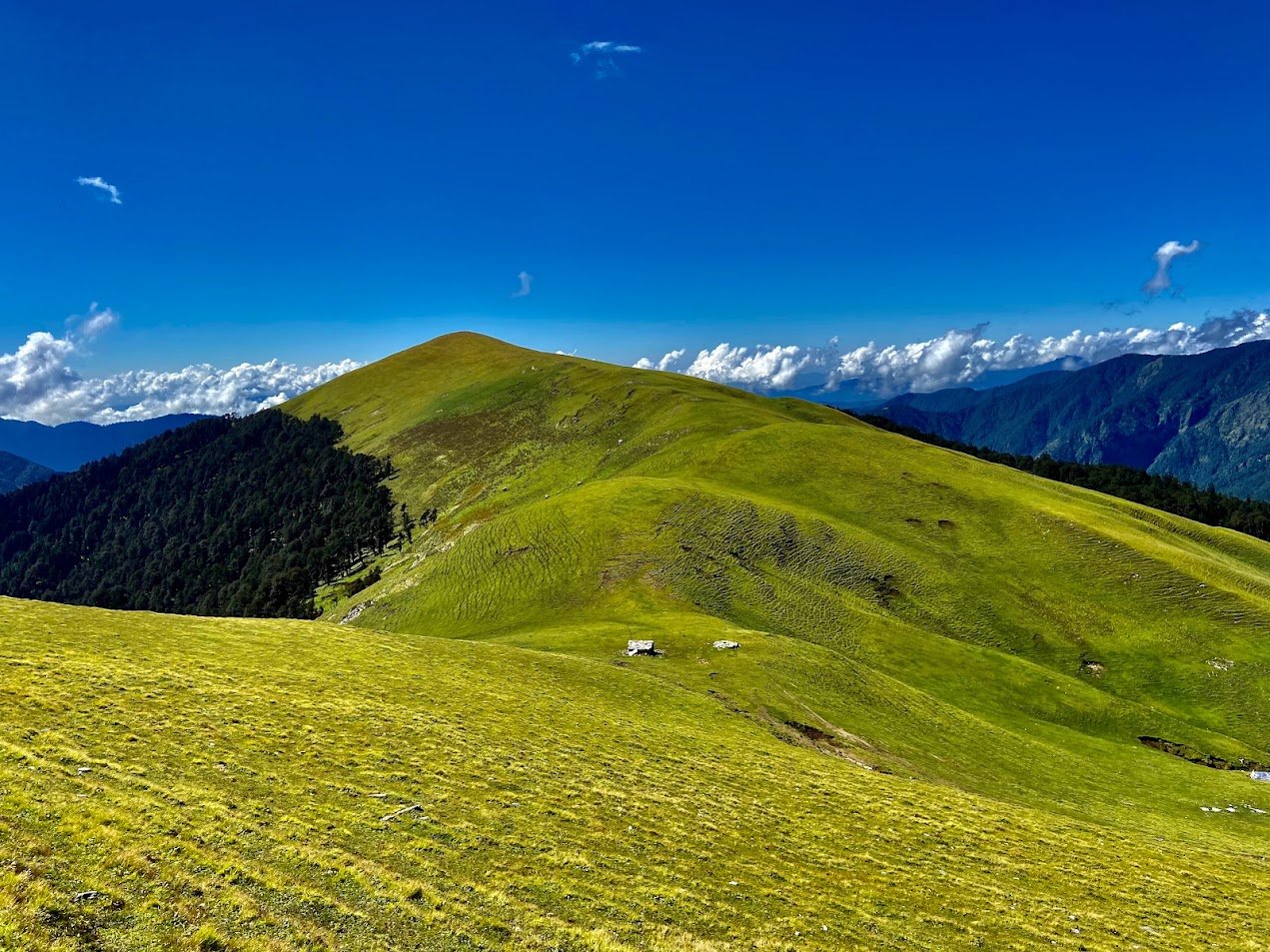 Pindari Glacier trek trail in the Himalayas
